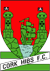 Cork Hibernians
