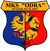 Одра Водзислав-Слёнски