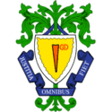 Waanzinnig