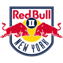 Onr Bulls II